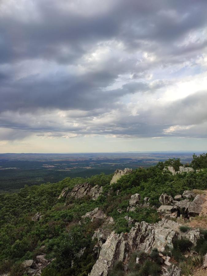 Apartamento Marcajada Riaza Buitenkant foto